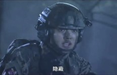 火凤凰究竟如何？它的外观是否真的令人惊艳？