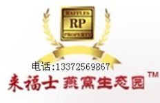 普通人投资理财真的能轻松赚钱吗？揭开赚钱难的真相