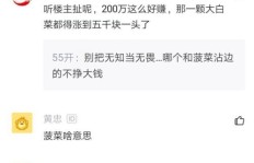 如何通过网络副业实现额外收入？我的真实经历分享