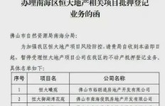 尚赫项目真的能带来稳定收益吗？加入后盈利情况如何？