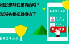 天道淘金平台中，哪一种赚钱方式效率最高？