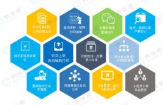 集运与集运仓有何区别？详解跨境物流中的关键概念