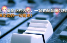 想要通过动画配音实现盈利，需要掌握哪些关键技巧？