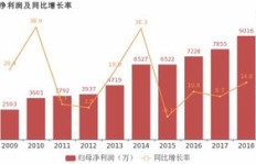 中国南方经济繁荣的背后，究竟靠哪些产业支撑盈利？