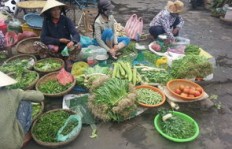 赶集卖菜真的能赚钱吗？农村市场的经济效益分析