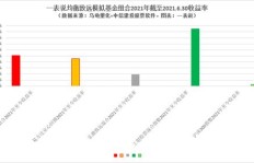 低位投资基金真的能获利吗？投资策略与风险分析
