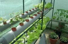 电商平台种菜项目真的能带来可观收益吗？