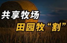 我们是否正身处全球最难赚钱的时代？