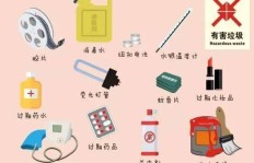 废旧物品如何高效变现？处理方法大解析