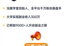 全国究竟有多少人在兼职副业？真相令人好奇！