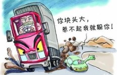 大车司机在闲暇时能尝试哪些赚钱的副业选择？