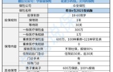 农村过年期间有哪些生财之道？