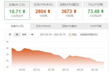 花呗白条真的能实现盈利吗？用户使用后收益如何？