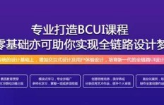 在当今时代，学习哪项技术最有潜力实现高收入？