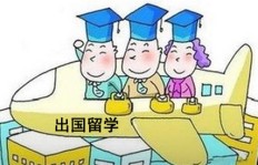 北欧留学期间，哪些专业适合开展副业？