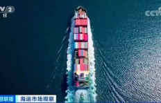 荷兰跑船真的能赚钱吗？揭开航运行业的盈利真相