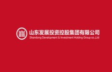 投资公司缘何大举控股？其背后动机与策略解析