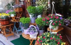 花店除了卖花还能做哪些副业赚钱？