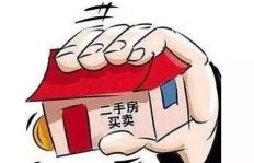 谁是上海那位神秘的副业房东？背后故事引人好奇！