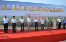 廊坊疫情何时解封？市民翘首期盼恢复正常生活