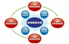 除了体育领域，还有哪些行业能轻松盈利？