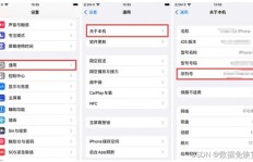 如何查找网报序号？网报序号的具体获取途径在哪里？