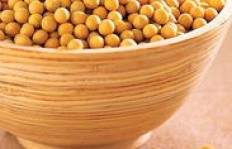 黄豆加工成哪种产品最能带来高收益？