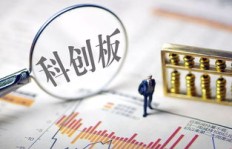在上海，哪些活动最适合学习并实现盈利？