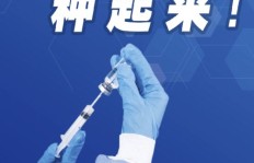 假代购真的能赚钱吗？揭开其中的利润与风险