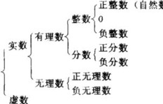 自然数与整数有何区别？详解两者定义及区分标准
