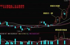 十年股市沉浮仍颗粒无收，求解投资困境何去何从？