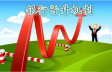 拥有学历后，如何高效变现并顺利步入职场？