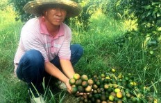 多多果园助力水瓶消失无踪，究竟去了哪里？
