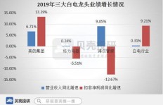 在家电市场中，卖哪类产品利润最高？