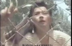 长风镖局现今是否仍具盈利能力？