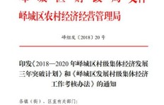 平度市村集体经济发展难题何在？我们该如何深思求解？
