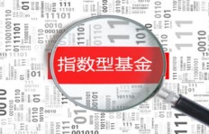 如何选择和操作指数基金才能实现盈利？