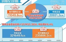国家运营的飞机能否实现盈利？经济效益深度探讨