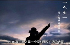 人生的意义难道仅在于追逐金钱吗？