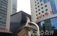 电子大厦内养宠物真的能盈利吗？是否值得一试？