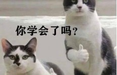 谁主导了猫朴运动？这场运动的背后真实情况又是怎样？