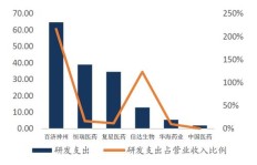 柏思公司究竟如何？其综合实力与发展前景深度探析