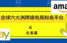 亚马逊平台上哪类产品最具盈利潜力？