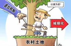 农民如何选择适合自己的高收益副业？