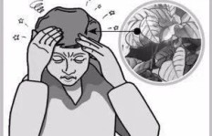 服用鹿鞭肽后腰疼、鹿鞭引发头晕，究竟是什么原因导致的？