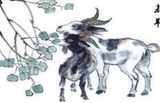 属羊人前往西北方位能否迎来财富增长？