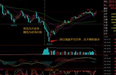 股指期货投资真的有人盈利吗？实战案例解析