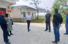 在当前乡镇环境下，哪些生意项目更具盈利潜力？