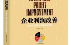 银丰阁是如何实现盈利的？其赚钱之道究竟何在？