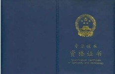 高级经济师究竟属于哪类职称及其等级划分？